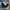 Burberry Streetwear Sportswear Jeans Pria multicolor photo 1