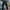 Burberry Streetwear Sportswear Jeans Pria multicolor photo 3