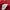 Giordano Casual Polo shirt Pria red photo 3