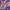 11/10 Studio Cosplay Casual Bra Wanita white tan photo 2