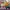 11/10 Studio Cosplay Casual Bra Wanita white tan photo 6