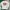 Dickies Casual Sweatshirt Pria white photo 3
