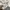 Dickies Casual Sweatshirt Pria white photo 4