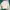 Dickies Casual Sweatshirt Pria white photo 7