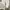 Dickies Casual Sweatshirt Pria white photo 6