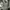 C.P. Company Sportswear Casual Sweatshirt Pria gray photo 5