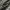 Arc'teryx Gorpcore Sportswear Windbreaker Pria gray photo 4