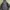 Arc'teryx Gorpcore Sportswear Windbreaker Pria gray photo 1