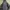 Arc'teryx Gorpcore Sportswear Windbreaker Pria Gray