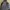Arc'teryx Gorpcore Sportswear Windbreaker Pria gray photo 6