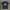 Cotton On T-shirt Pria black photo 1
