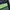 Luxury Futurist Wanita green photo 6