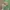 Luxury Futurist Wanita green photo 4