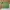 Luxury Futurist Wanita green photo 1
