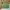 Luxury Futurist Wanita Green