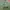 Luxury Futurist Wanita green photo 3