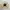 Polo Ralph Lauren Casual Sweater Pria cream photo 2