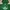 Adidas Casual Bomber Jacket Pria Green