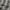Streetwear Casual T-shirt Pria gray photo 4