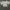 Casual Crop top Wanita white photo 1