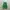 Adidas Casual Sneakers Wanita green white photo 5
