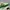 Adidas Casual Sneakers Wanita green white photo 2
