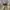 JNCO Vintage Y2K Short Pria tan photo 4