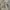 JNCO Vintage Y2K Short Pria tan photo 2