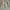JNCO Vintage Y2K Short Pria tan photo 1