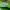 Puma Sportswear Sneakers Wanita green pink photo 6
