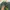 Casual Hoody Pria green photo 3