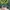 Casual Hoody Pria green photo 4