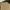 GAP Casual Sweatshirt Pria tan photo 2