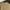 GAP Casual Sweatshirt Pria Tan