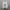 Nike Sportswear Sneakers Pria silver white photo 5