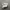 Nike Sportswear Sneakers Pria silver white photo 1