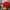 Arnold Palmer Casual Sweater Pria Red