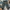 Uniqlo Streetwear Sportswear Jeans Pria multicolor photo 2