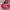 Vintage Streetwear Hoody Pria red photo 1