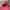 Vintage Streetwear Hoody Pria red photo 2