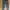 Undercover Streetwear Casual pants Pria white gray photo 1