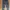 Undercover Streetwear Casual Pants Pria White Gray
