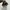 Dickies Casual Sneakers Pria blue brown photo 4