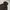 Casual Windbreaker Pria tan brown photo 2