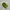 Nike Casual Sneakers Pria green photo 3