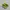 Nike Casual Sneakers Pria Green