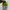 Nike Casual Sneakers Pria green photo 4