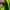 Nike Casual Sneakers Pria green photo 6