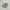 Nike Casual Sneakers Pria white photo 1