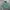 Sportswear Hoody Pria Green